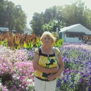  ,   , 73 ,     , 
