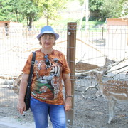  ,   , 59 ,   ,   , c 