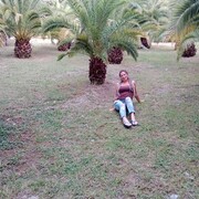  -,   , 43 ,   c 
