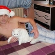 ���������� �������, ���� ������� �������, 37 ���, ������������ ��� ������, ����� � ���������, c�������� ���������