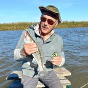 ���������� �������������, ������� ��������, 63