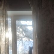 ���������� ������������, ���� ������� ����, 30 ���, ������������ ��� ������, ����� � ���������, c�������� ���������, ���������