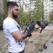 ���������� ���������, ���� ������� ���������, 29 ���, ������������ ��� ������, ����� � ���������