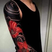 ���������� �����-���������, ���� ������� Wolf, 30 ���, ������������ ��� ������, ����� � ���������, ���������