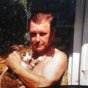  ,   , 53 ,   ,   