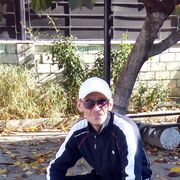 ���������� ��������, ���� ������� ��������, 43 ����, ������������ ��� ������, ����� � ���������