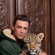 ���������� ����, ���� ������� ���������, 50 ���, ������������ ��� ����� � ���������, c�������� ���������