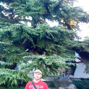  ,   , 53 ,  