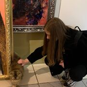 ���������� �����-���������, ���� ������� �����, 24 ����, ������������ ��� ���������