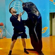 ���������� ���������, ���� ������� ���������, 36 ���, ������������ ��� ������, ���������