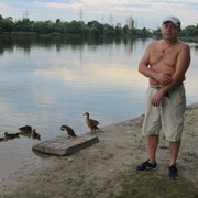  ,   , 65 ,   