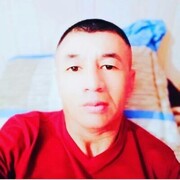  ,   Berik, 49 ,   ,   