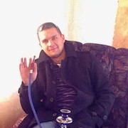 ,   Volk, 41 ,   , 