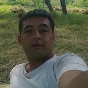  ,  , 43
