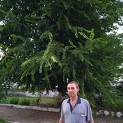 ���������� ���������, ���� ������� ���������, 46 ���, ������������ ��� ������, ����� � ���������, ���������