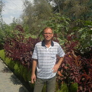 ���������� �����, ���� ������� ��������, 47 ���, ������������ ��� ����� � ���������, c�������� ���������