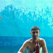  ,  hovo, 37