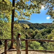 ���������� ����, ���� ������� ������, 48 ���, ������������ ��� ����� � ���������, c�������� ���������