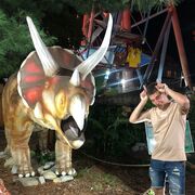 ���������� ������-��-����, ���� ������� �������, 27 ���, ������������ ��� ������, ����� � ���������, ���������