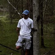 ���������� �����, ���� ������� ������, 38 ���, ������������ ��� ����� � ���������, c�������� ���������