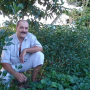 ���������� �����������, ���� ������� �����, 63 ����, ������������ ��� ������, ����� � ���������, c�������� ���������