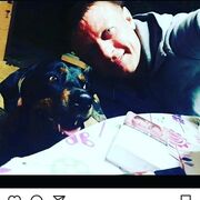  ,   , 43 ,  