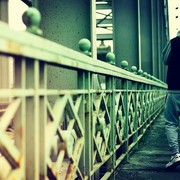 ���������� ���, ���� ������� ����, 38 ���, ������������ ��� ������, ����� � ���������, c�������� ���������