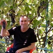  ,   , 65 ,   ,   