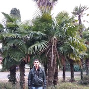  ,   , 45 ,   , 