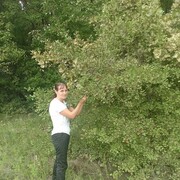 ���������� ���������, ���� ������� �����, 51 ���, ������������ ��� ������, ����� � ���������