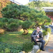 ���������� �������, ���� ������� ������, 47 ���, ������������ ��� ������, ����� � ���������, c�������� ���������