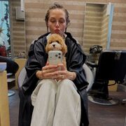 ���������� ��������, �������