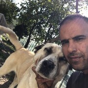  ,   Erdal, 43 ,   ,   