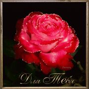 ���������� ���������, ���� ������� ������, 38 ���, ������������ ��� ������, ����� � ���������