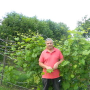  ,   Yuri, 66 ,   ,   , 