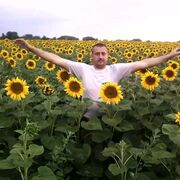 ���������� ����, ���� ������� ����, 39 ���, ������������ ��� ������, ����� � ���������, c�������� ���������