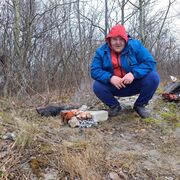 ���������� �����������, ���� ������� ����, 38 ���, ������������ ��� ������, ����� � ���������, c�������� ���������, ���������