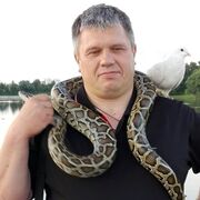  ,   , 55 ,   c 