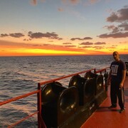 ���������� ������, ���� ������� �����, 43 ����, ������������ ��� ������