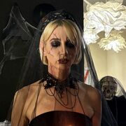 ���������� �����, ���� ������� ����������, 35 ���, ������������ ��� ������, ����� � ���������, c�������� ���������