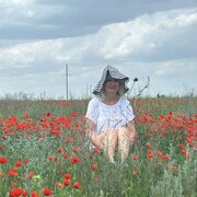 ���������� �����������, ���� ������� �������, 66 ���, ������������ ��� ������, ����� � ���������, c�������� ���������