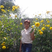  ,   , 59 ,   ,   , c 