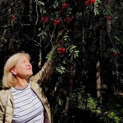 ���������� �����, ���� ������� ��������, 60 ���, ������������ ��� c�������� ���������