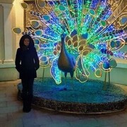 ���������� ����������, ������� ����, 36