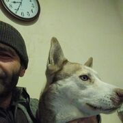 ���������� ������-��-����, ���� ������� �����, 42 ����, ������������ ��� ������, ����� � ���������