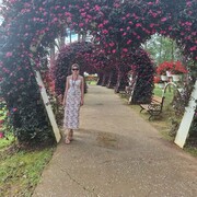 ���������� ������ ��������, ���� ������� �����, 51 ���, ������������ ��� c�������� ���������