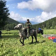 ���������� ��������, ���� ������� ������, 34 ����, ������������ ��� ������, ����� � ���������, c�������� ���������, ���������