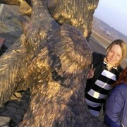 ���������� �������, ���� ������� ���������, 38 ���, ������������ 