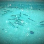 ���������� ����, ���� ������� �����, 47 ���, ������������ ��� ������