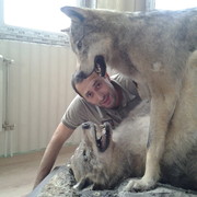 ���������� ������, ���� ������� �����, 51 ���, ������������ ��� ������